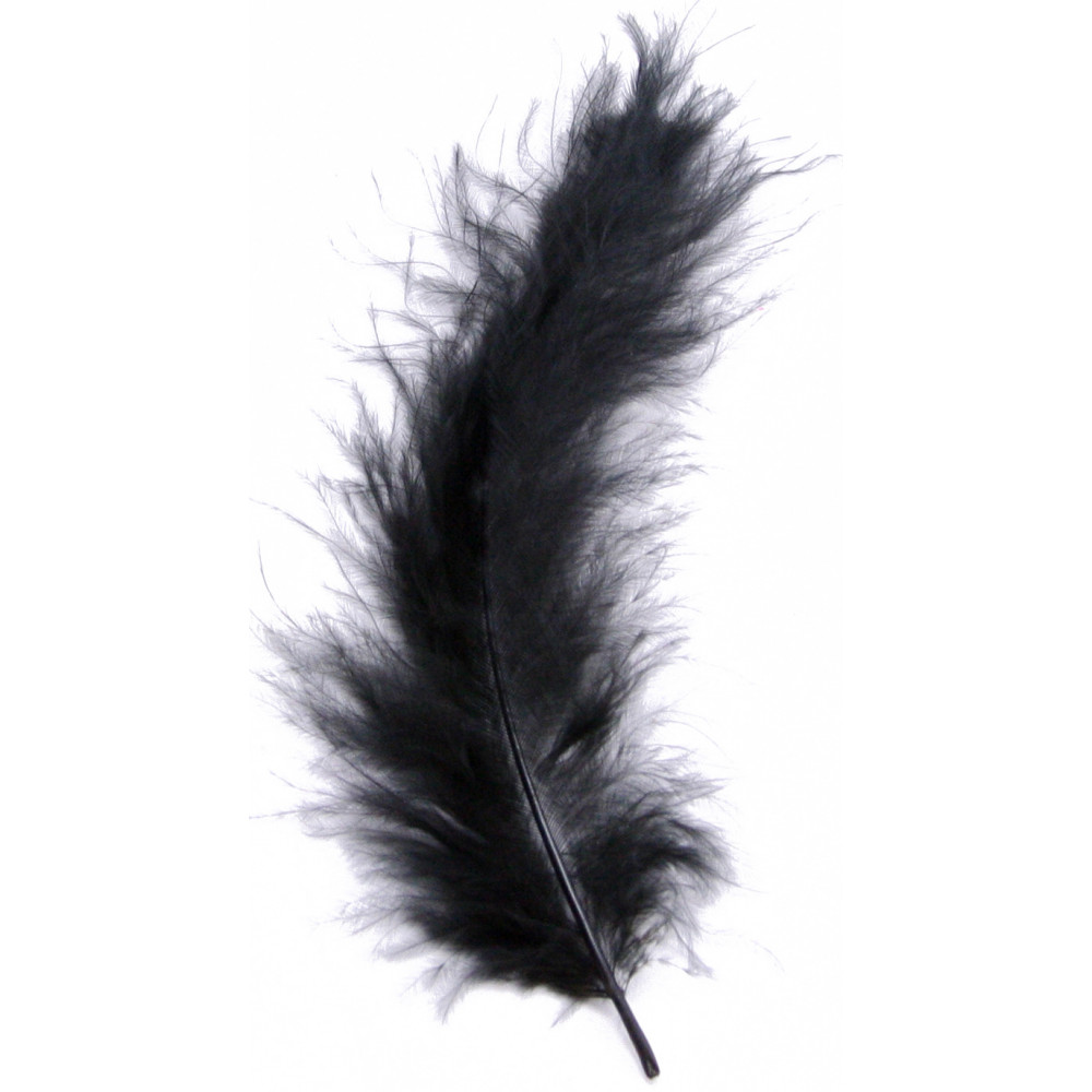 Black Ostrich Feather Sprays - Feathers - Basic Craft Supplies - Craft  Supplies