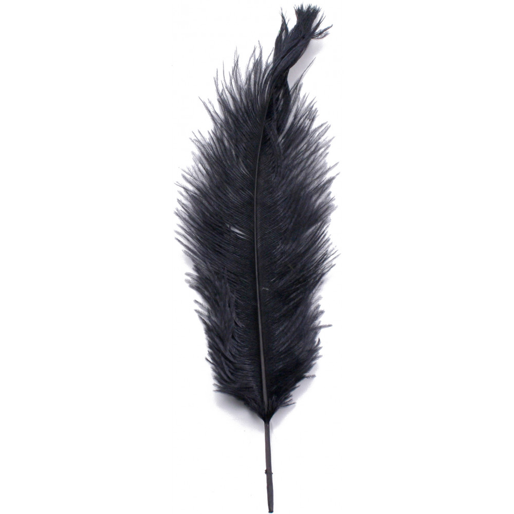 Ostrich Feathers 14-16 (10 pcs) - Black