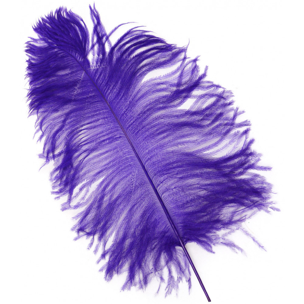 14-16 Ostrich Feathers: Pink (6)